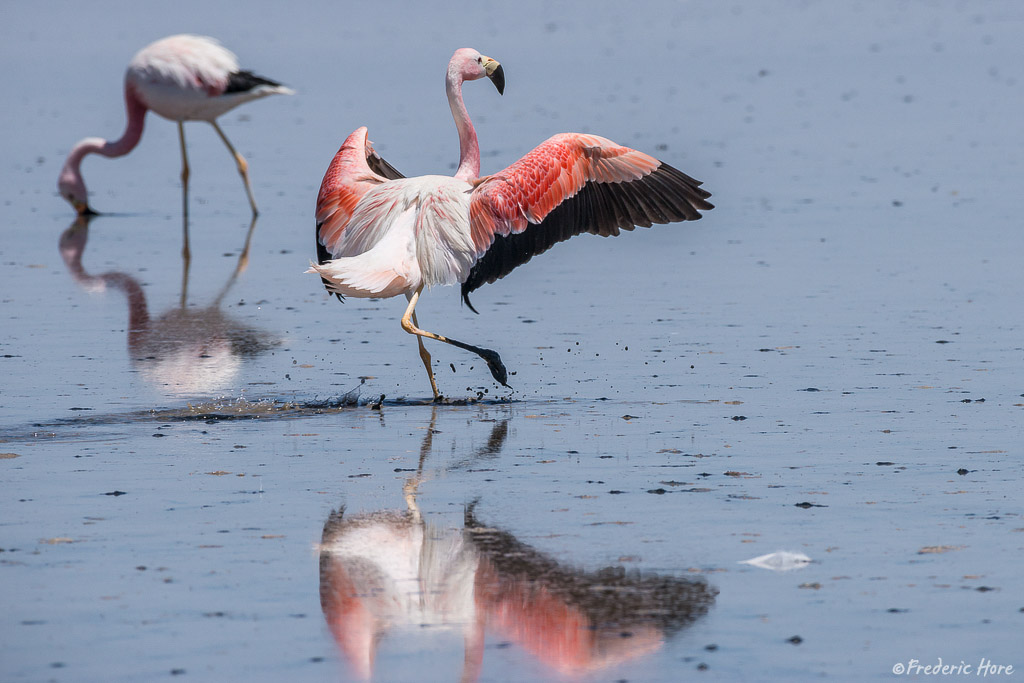  San Pedro de Atacama